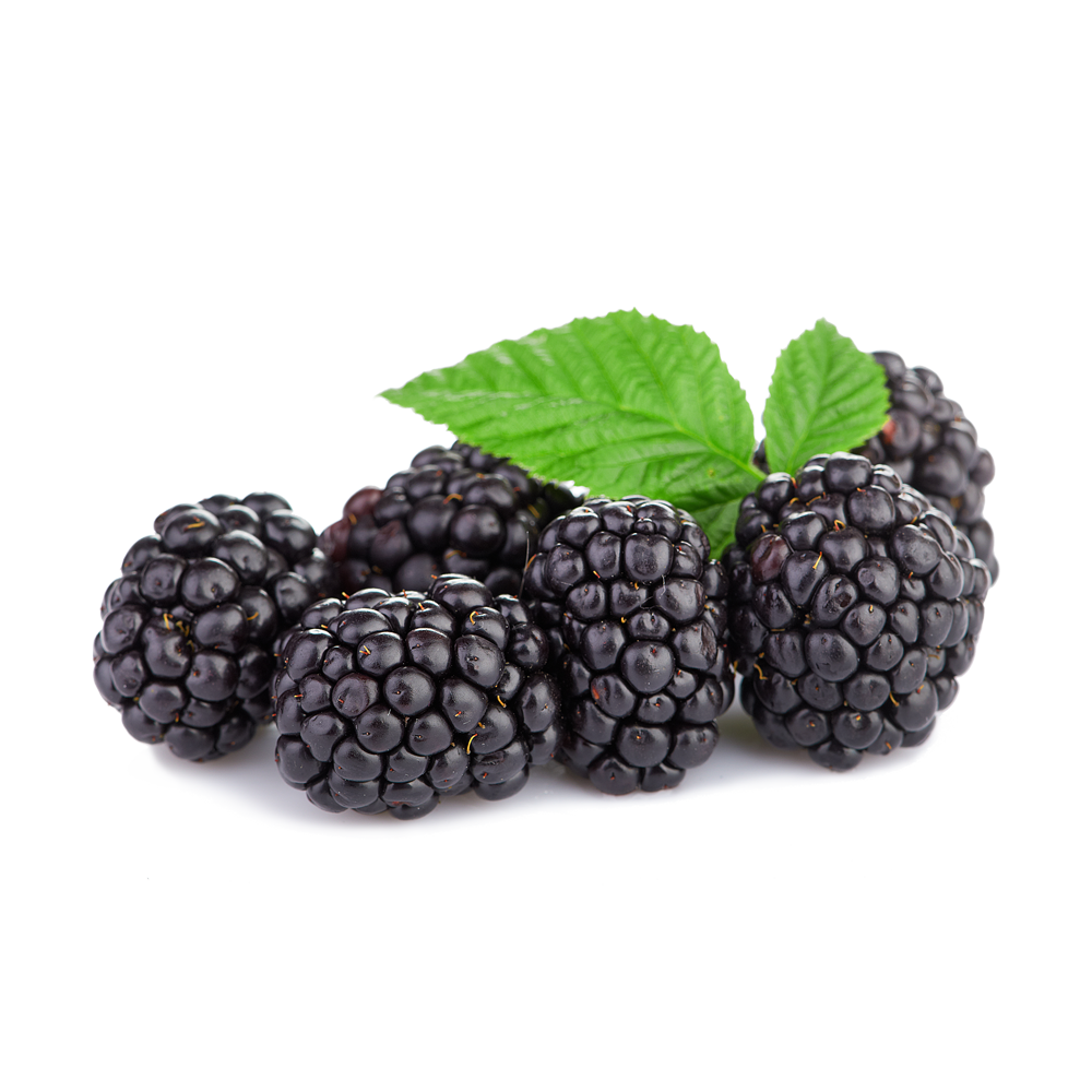 Triple Crown Blackberries