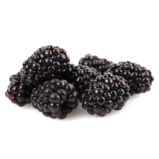 Kotata Blackberries